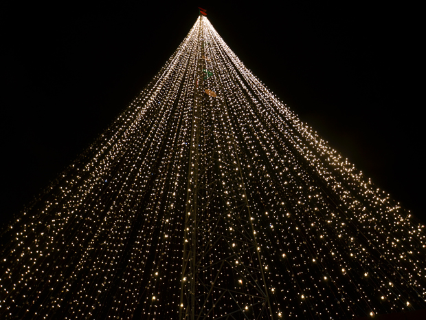 G1 - 'Árvore de Luz', com mais de 100m e 30 mil lâmpadas, é acesa na PB -  notícias em Paraíba
