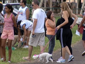 Evento reuniu donos e cães em parque em Campo Grande (Foto: Reprodução/ TV Morena)