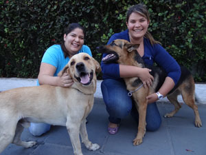 As irmãs Polliana e Patrícia com os "cães de guarda" (Foto: Luna Markman/G1)