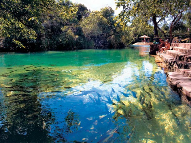 Visitantes podem avistar cardumes nas águas cristalinas do rio Formoso (Foto: Divulgação/Prefeitura de Bonito)