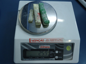 Embalagens de maconha estavam nas fraldas de dois bebês e nas partes íntimas da suspeita (Foto: Polícia Civil/Divulgação)