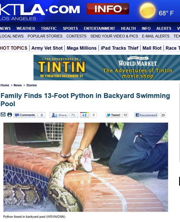 Família levou um susto ao encontrar uma píton de 4 metros na piscina. (Foto: Reprodução/KTLA)