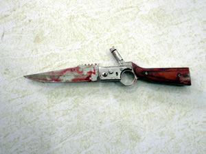canivete usado para cometer o assassinato de bebê em Mato Grosso (Foto: Divulgação / Polícia Civil)
