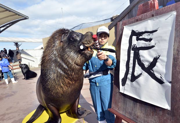 Leão-marinho 'Jay' escreveu a palavra 'dragão' em caracteres chineses. (Foto: Yoshikazu Tsuno/AFP)