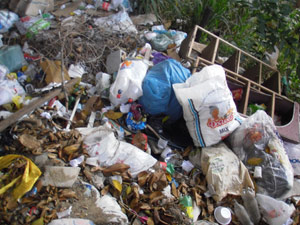 Terreno no Morro da Coroa é usado como depósito de lixo  (Foto: M.A./VC no G1)