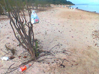 Sacos de lixo são pendurados por banhistas em galhos de árvores (Foto: Carlos Eduardo Matos/G1 AM)