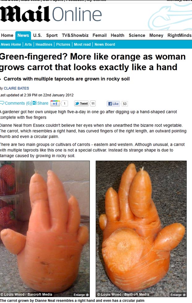 Dianne Neal colheu uma cenoura que se parece com uma mão.  (Foto: Reprodução/Daily Mail)