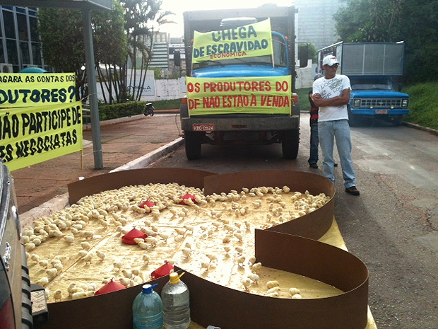 Os avicultores do Distrito Federal, com apoio da Associação dos Avicultores do Planalto Central e do Sindicato dos Avicultores do DF, realizam nesta quarta-feira (25) manifestação em frente ao Conselho Administrativo de Defesa Econômico (Cade), em Brasília. (Foto: Maiara Dornelles/G1)