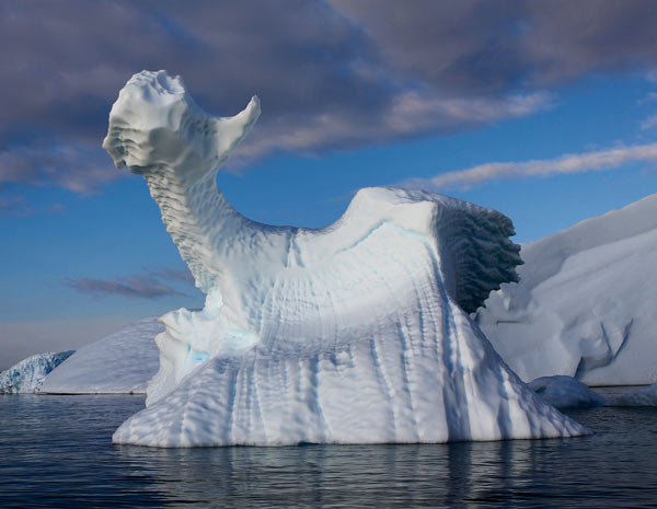 Iceberg em forma de dragão foi fotografado na Antártica (Foto: Kseniia Maiukova)
