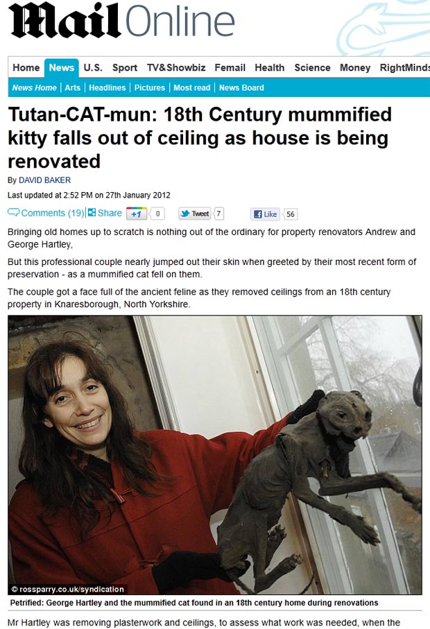 Gato mumificado foi encontrado em uma casa do século 18. (Foto: Reprodução/Daily Mail)