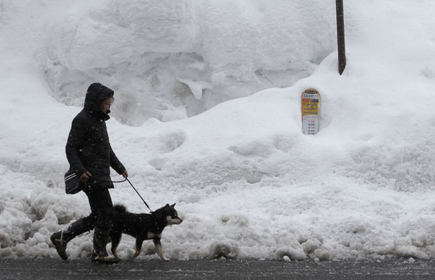 Homem e cão passeiam em frente a ponto de ônibus coberto de neve em Yyzawa, na província japonesa de Niiagata, nesta quarta-feira (1º) (Foto: AP)