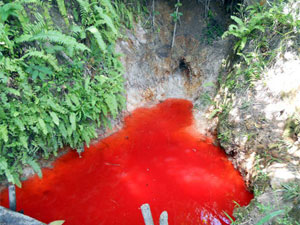 Fonte que jorrava líquido vermelho, em Goiana (PE) (Foto: Divulgação / Aqui Goiana)
