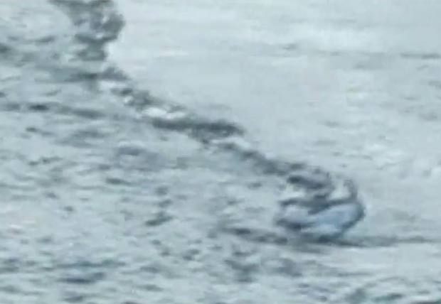 Criatura estranha teria sido filmada em um lago na Islândia. (Foto: Reprodução)