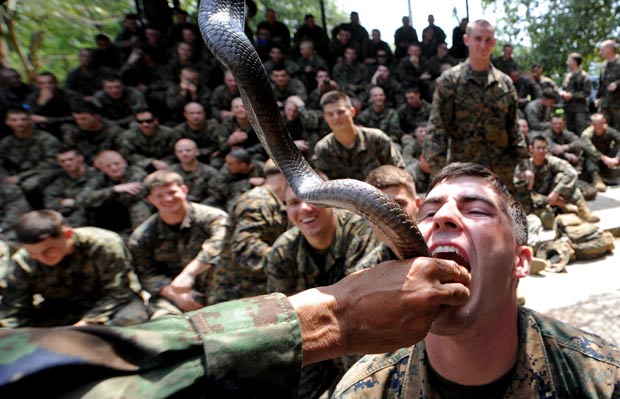 Fuzileiro dos EUA bebe sangue de cobra durante treinamento. (Foto: Pornchai Kittiwongsakul/AFP)
