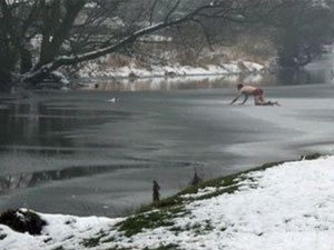 Homem se despiu e rastejou sobre um rio congelado  (Foto: Paul Wenborne/BBC)