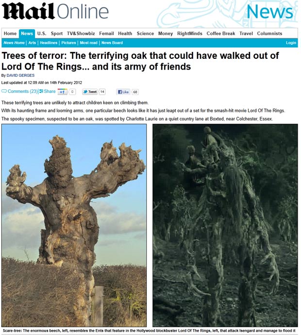 Árvore lembra plantas que parecem saídas da saga 'Senhor dos Anéis'. (Foto: Reprodução/Daily Mail)