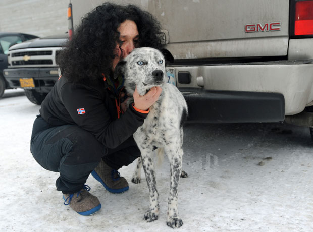 Silvia Furtwangler reencontra o cão Whistler, no Alasca. O cachorro fugiu do caminhão em Anchorage, na última quinta-feira. Ele reapareceu em um estacionamento aparentando estar faminto e com frio e atraiu pessoas que começaram a alimentá-lo. Uma das pessoas o atraiu para uma garagem e ele foi reunido com a dona, que o treina para corridas com trenó. (Foto: AP)