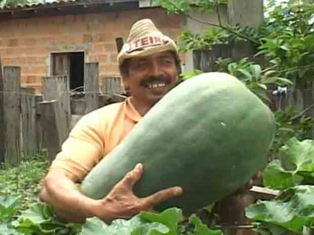 Pedreiro Osmarim Almeida carrega pepino gigante de 25 quilos (Foto: Reprodução/TV Liberal)