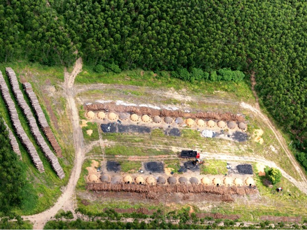 38 novos pontos de fornos de carvão foram identificados pelo Idaf. (Foto: Divulgação/Idaf)