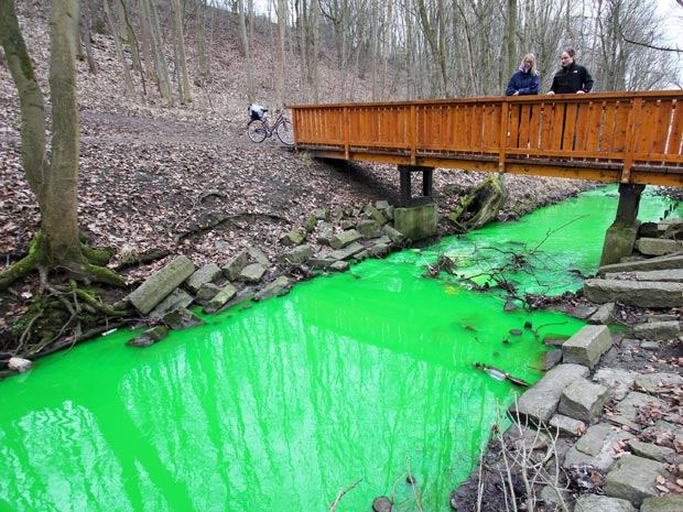 O ribeirão Grone, perto de Göttingen, na Alemanha, foi pintado de verde por um vazamento químico (Foto: Stefan Rampfel/DPA/AFP)