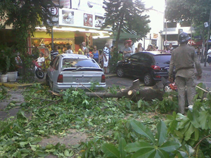 Bombeiros retiram árvore que caiu no Catete, no RJ