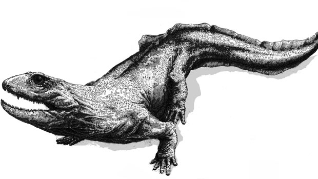 Ilustração de um dos animais descobertos, chamado de 'Ribbo' pelos pesquisadores (Foto: Michael Coates/University of Chicago/National Museums Scotland (NMS))
