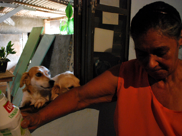 Maria Aparecida cuida de 40 cachorros em sua casa em Campinas, SP (Foto: Bárbara Bretanha / G1)