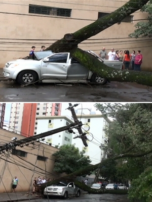 Árvore foi derrubada pela chuva, atingiu uma caminhonete e derrubou a rede elétrica (Foto: Reprodução RPCTV)