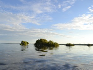 Nível do Rio Negro registrou cheia histórica em 2009 (Foto: Marina Souza/G1)