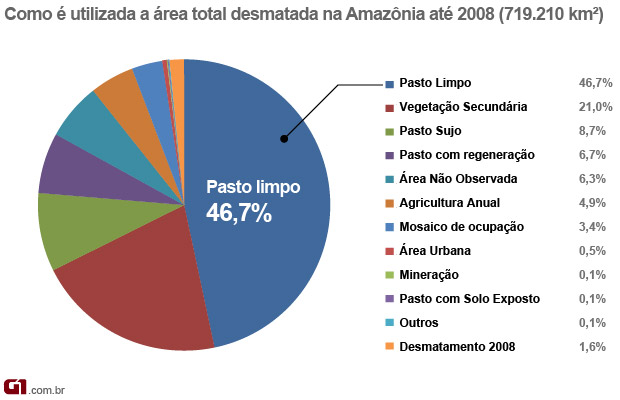 Uso de áreas desmatadas Amazônia Legal (Foto: Editoria de Arte/G1)