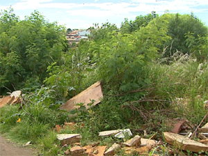 Terreno da Vila Prado cheio de entulho, lixo e mato alto (Foto: Reprodução/EPTV)