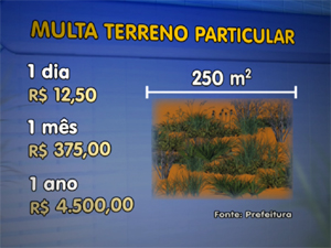 Valores de multas para proprietários de terrenos em São Carlos (Foto: Reprodução/EPTV)