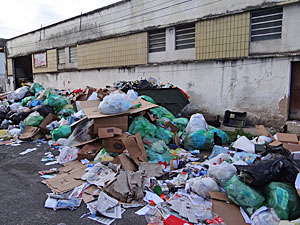 Cerca de 2 toneladas de lixo são produzidas diariamente no Recife (Foto: Luna Markman/G1)