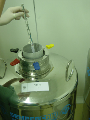 'Botijão' usado para armazenar embriões congelados (Foto: Divulgação/Programa Alfa Reprodução Assistida)