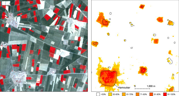 Foto de satélite, em cor falsa, no software que ajudou a localizar o sítio de Hamoukar (Foto: Bjoern Menze &amp; Jason Ur)