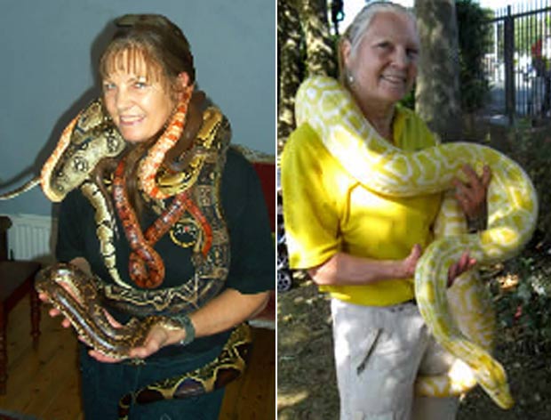 Sue Coleman gastou quase R$ 100 mil para construir viveiro para abrigar suas 70 cobras. (Foto: Reprodução/Site oficial)
