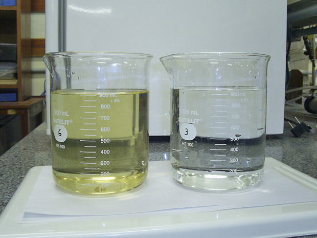 Amostras de água antes e depois da aplicação do pó da semente da moringa (Foto: Divulgação / Edilene Sargentini)