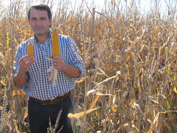 Lorenzatti mostra diferença de tamanho entre milho plantado em terra com e sem adubo (Foto: Gabriela Gasparin/G1)