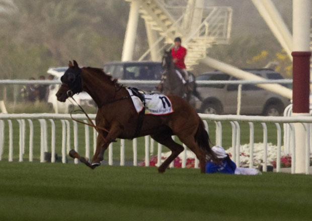 O cavalo Fox Hunt ficou com a pata torcida de forma incorrigível e teve que ser abatido (Foto: Caren Firouz/Reuters)