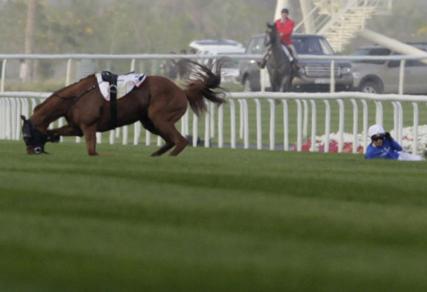 O cavalo Fox Hunt ficou com a pata torcida de forma incorrigível e teve que ser abatido (Foto: Caren Firouz/Reuters)