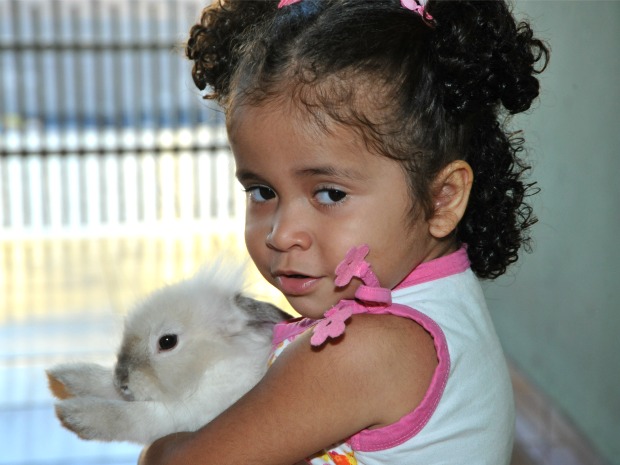 Liah Nara está aprendendo a cuidado de seu coelho "Neimar" (Foto: Miguel Palacios/G1 MS)