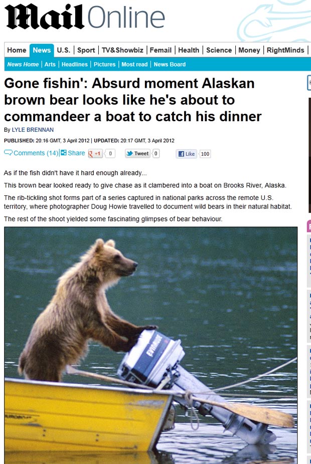 Urso foi fotografado 'tentando' usar barco. (Foto: Reprodução/Daily Mail)