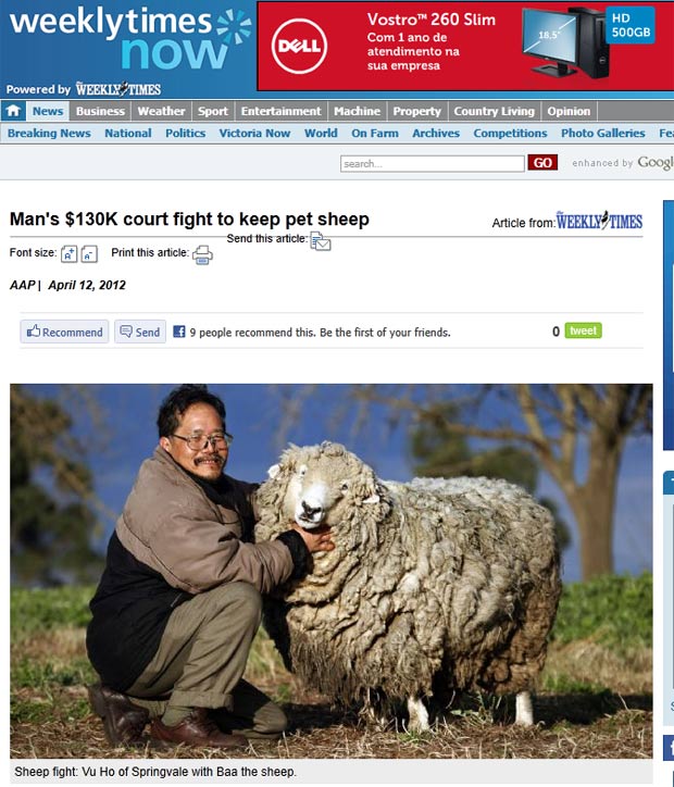 Vu Ho batalha de R$ 250 mil para manter ovelha de estimação. (Foto: Reprodução)