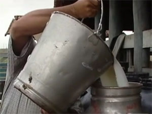 Encontro do setor de leite e derivados (Foto: Reprodução: TV Mirante)