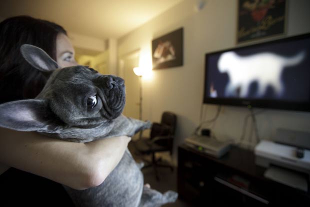Maria Catania assiste ao canal 'DogTV' junto com seu cão de estimação Bleu. (Foto: Gregory Bull/AP)