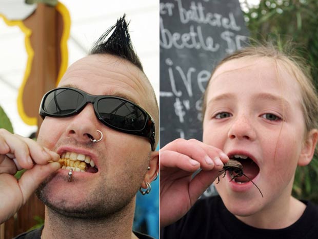 A cidade de Hokitika, na Nova Zelândia, conta com um festival gastronômico que oferece a seus vizinhos pratos bizarros. Além de insetos, frequentadores puderam degustar um milk-shake de sêmen de cavalo. (Foto: Juergen Schacke/AFP)
