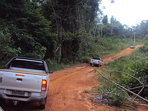 Suspeitos estariam se preparando para dematar área (Foto: Divulgação / Ibama)