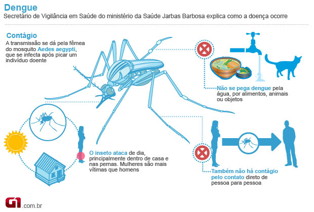 Como a dengue ocorre (Foto: Editoria de Arte/G1)