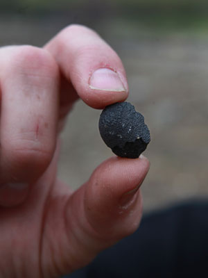 Robert Ward encontrou dois meteoritos na Califórnia (Foto: AP Photo/Rich Pedroncelli)