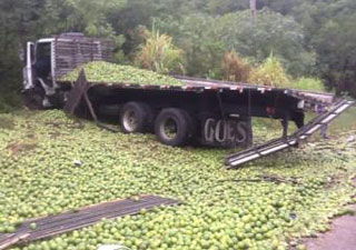 Caminhão carregava carga de laranjas (Foto: Polícia Civil/Divulgação)